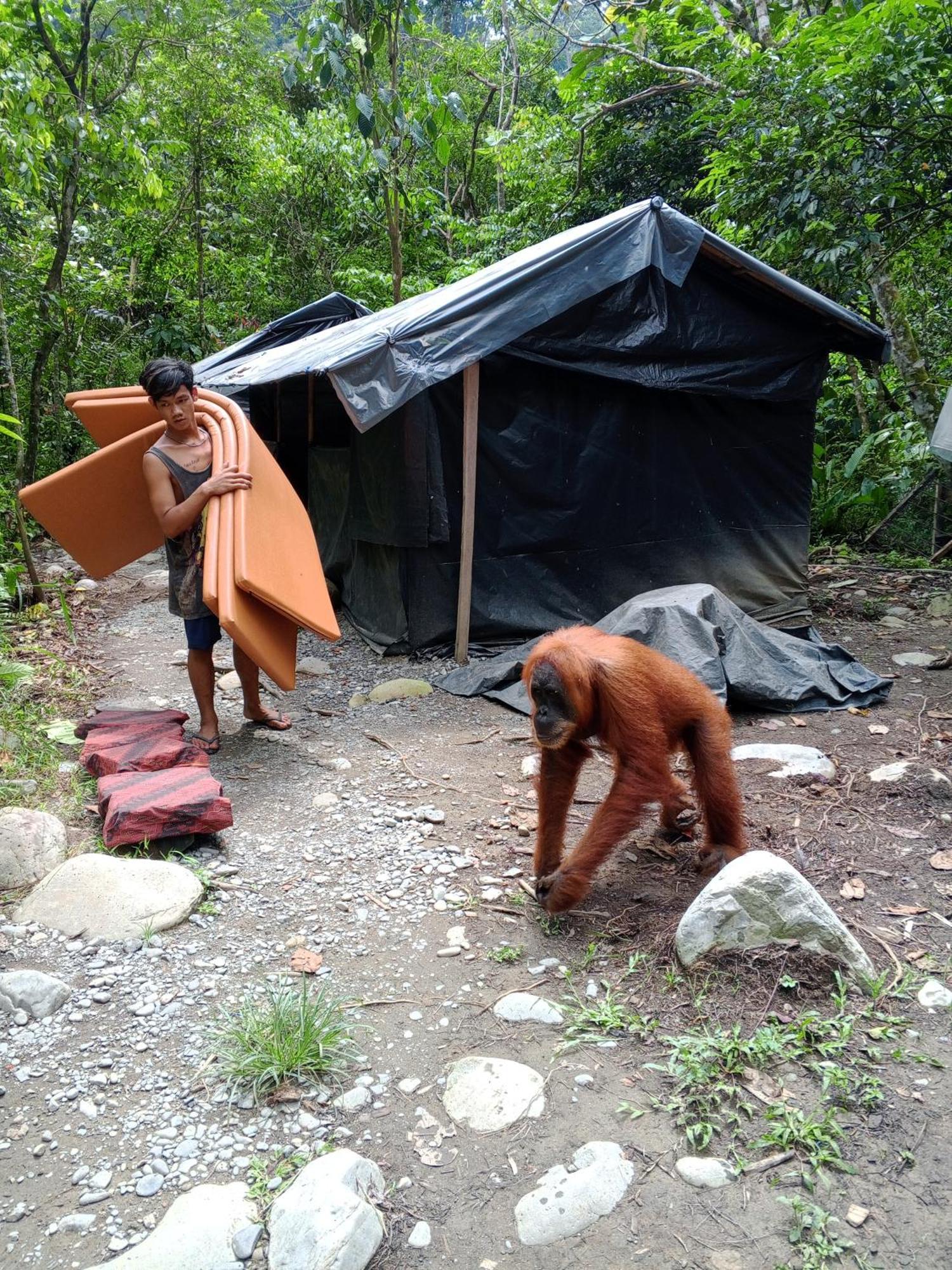 Sama Sama Homestay & Trekking Only Stay Here Book Trekking And Transport With Us Букит Лаванг Екстериор снимка